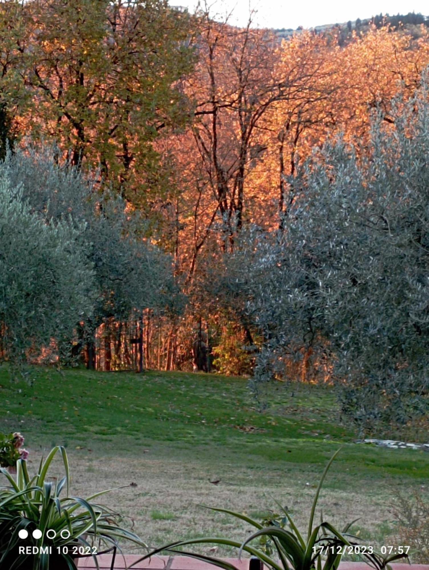 Villa Luna Comeana Экстерьер фото